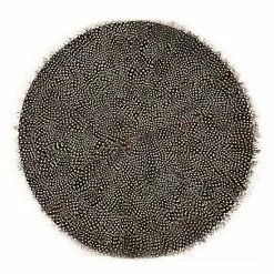 Wholesale 🔥 Unbranded Set Of 6 Guinea Fowl Feather Placemats 🥰