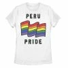 New ❤️ Unbranded Juniors' Fifth Sun Peru Pride Sketched Flag Tee 🎁