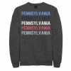 Coupon 😉 Unbranded Juniors' Pennsylvania State Fleece Graphic Sweatshirt 🛒