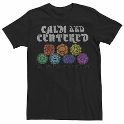 Wholesale 😀 Unbranded Juniors' Chakras Calm & Centered Boyfriend Tee 🎁