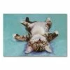 Budget 🎉 Unbranded ''Little Napper'' Canvas Wall Art By Pat Saunders-White 🌟
