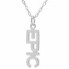 Coupon ❤️ Unbranded Sterling Silver "Epic" Vertical Necklace 💯