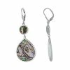 Hot Sale 🔥 Unbranded Sterling Silver Abalone Teardrop Earrings ⭐