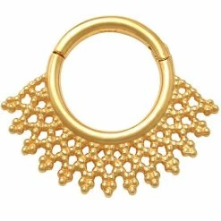 Best reviews of 😍 Unbranded 14K Gold Septum Clicker Nose Ring 😉