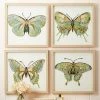 Outlet 🌟 Unbranded Set Of 4 Paper Cut Butterfly Framed Art 👏