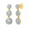 Coupon 🔥 Unbranded 10k Gold 1/2 Carat T.W. Diamond Round Cluster Earrings ✨