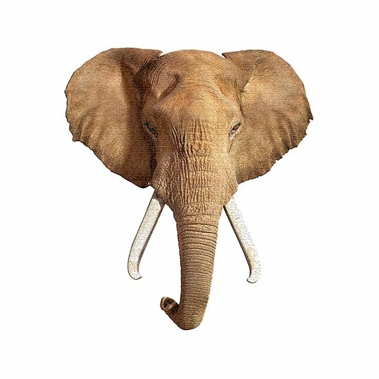 Brand new 🤩 Unbranded Madd Capp Puzzles - I Am Elephant 550 Piece Puzzle 🌟 - Image 2
