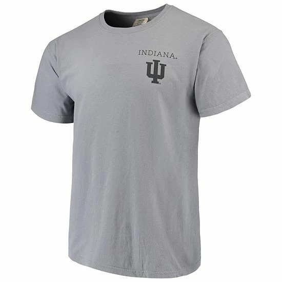 Cheapest 🔥 Unbranded Men's Gray Indiana Hoosiers Comfort Colors Campus Scenery T-Shirt 😉 - Image 3