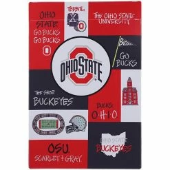 Best reviews of 🔥 Unbranded Ohio State Buckeyes Collage Garden Flag 🧨