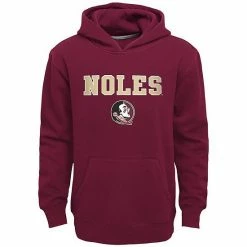 Promo ⭐ Unbranded Boys 8-20 Florida State Seminoles Team Slogan Fleece Hoodie 🌟