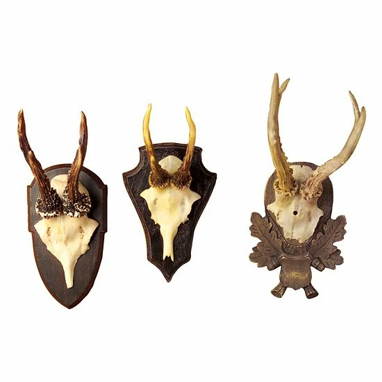 Discount ๐ Unbranded Set Of 3 Natural Looking Replica Antler Trophies ๐