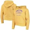 Cheapest 🥰 Unbranded Youth League Collegiate Wear Gold LSU Tigers Essential Pullover Hoodie 💯