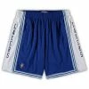 Outlet 🧨 Unbranded Men's Mitchell & Ness Royal Los Angeles Lakers Big & Tall Hardwood Classics Team Swingman Shorts 🤩