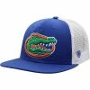 Cheapest ✨ Unbranded Men's Top Of The World Royal Florida Gators Classic Snapback Hat 🛒