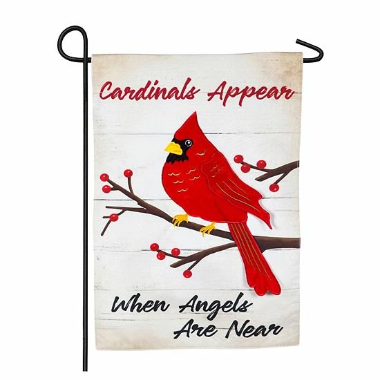Promo ๐ Unbranded Cardinals Appear Garden Flag โญ