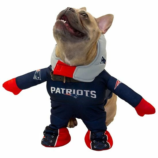 Budget โ๏ธ Unbranded New England Patriots Running ๐ถ Dog Costume ๐ - Image 2