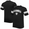 Budget 🔔 Unbranded Men's Black Las Vegas Raiders Arm Stripe T-Shirt ✨