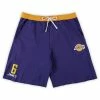 Top 10 ⌛ Unbranded Men's LeBron James Purple Los Angeles Lakers Big & Tall French Terry Name & Number Shorts 🔔