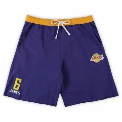 Top 10 ⌛ Unbranded Men's LeBron James Purple Los Angeles Lakers Big & Tall French Terry Name & Number Shorts 🔔