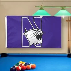 Promo ✨ Unbranded WinCraft Northwestern Wildcats Deluxe 3' X 5' Flag ⭐