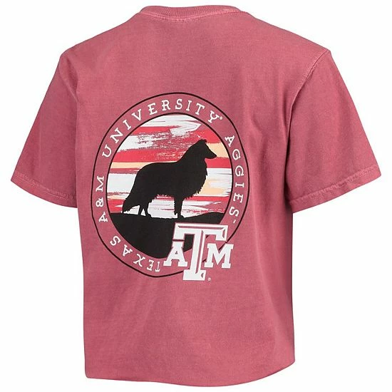 Outlet 😍 Unbranded 👩 Women's Maroon Texas A&M Aggies Circle Scene Comfort Colors Crop Top ✔️ - Image 4