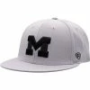 Cheapest 🔥 Unbranded Men's Top Of The World Gray Michigan Wolverines Fitted Hat 💯