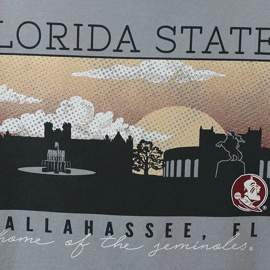Wholesale 😀 Unbranded Men's Gray Florida State Seminoles Comfort Colors Campus Scenery T-Shirt ✔️ - Image 5