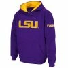 Hot Sale 🥰 Unbranded Youth Stadium Athletic Purple LSU Tigers Big Logo Pullover Hoodie ❤️