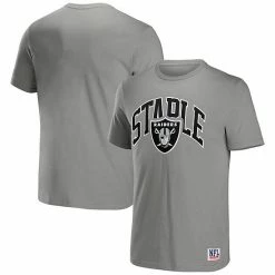 Best Pirce 👏 Unbranded Men's NFL X Staple Gray Las Vegas Raiders Logo Lockup T-Shirt 😉