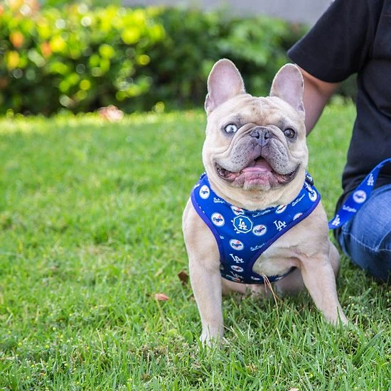 Deals โ๏ธ Unbranded Fresh Pawz Royal Los Angeles Dodgers Adjustable Mesh Pet Harness ๐ฅฐ - Image 4