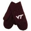 Top 10 🧨 Unbranded Virginia Tech Hokies Arya Mittens 😉