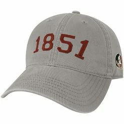 Brand new ⭐ Unbranded Men's Gray Florida State Seminoles Radius Adjustable Hat 👍