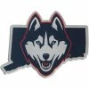 Best Sale 🎁 Unbranded UConn Huskies State Shape Acrylic Metallic Auto Emblem 💯