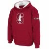 Best Sale 😉 Unbranded Youth Stadium Athletic Cardinal Stanford Cardinal Big Logo Pullover Hoodie 🧨