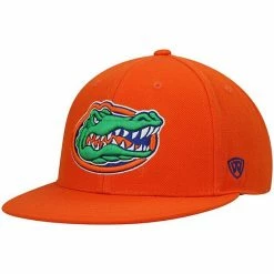 Cheap 🎉 Unbranded Men's Top Of The World Orange Florida Gators Team Color Fitted Hat ✨