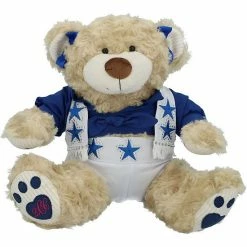 Top 10 🌟 Unbranded FOCO Dallas Cowboys Exclusive 2015 Cheerleader Bear ⌛
