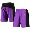 Discount 😉 Unbranded Men's Mitchell & Ness Purple Toronto Raptors Hardwood Classics Primary Logo Swingman Shorts 🤩
