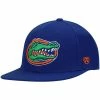 Best reviews of 🛒 Unbranded Men's Top Of The World Royal Florida Gators Team Color Fitted Hat ✔️