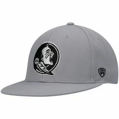 New 🎁 Unbranded Men's Top Of The World Gray Florida State Seminoles Fitted Hat 👏