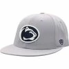 Buy 🛒 Unbranded Men's Top Of The World Gray Penn State Nittany Lions Fitted Hat 🥰