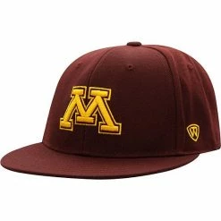 Flash Sale 🤩 Unbranded Men's Top Of The World Maroon Minnesota Golden Gophers Team Color Fitted Hat 🔔