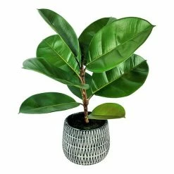 Budget ⭐ Unbranded Artificial Rubber Plant Floor Decor Black 🛒