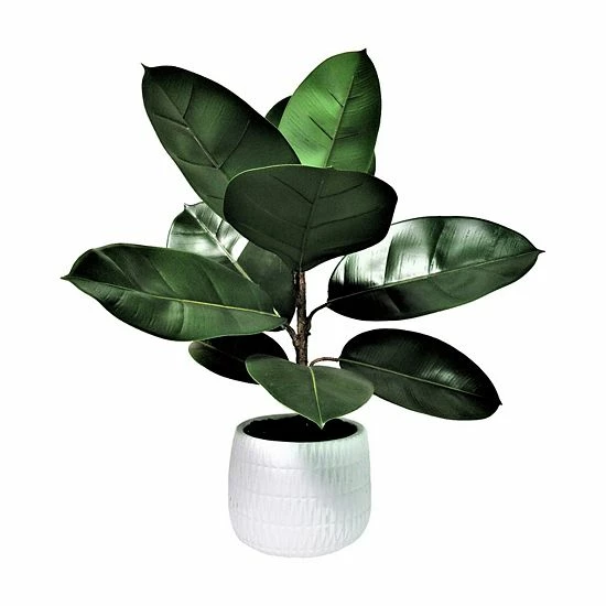 Budget ⭐ Unbranded Artificial Rubber Plant Floor Decor Black 🛒 - Image 6