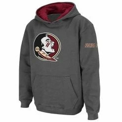 Wholesale ✔️ Unbranded Youth Stadium Athletic Charcoal Florida State Seminoles Big Logo Pullover Hoodie 🌟