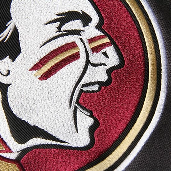 Wholesale ✔️ Unbranded Youth Stadium Athletic Charcoal Florida State Seminoles Big Logo Pullover Hoodie 🌟 - Image 3