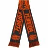 Wholesale 🥰 Unbranded FOCO Florida Gators Scarf 🌟