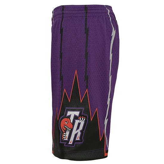 Hot Sale ๐งจ Unbranded Youth Mitchell & Ness Purple Toronto Raptors 1998-99 Hardwood Classics Swingman Shorts ๐ - Image 5