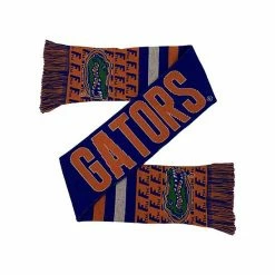 Cheapest 😉 Unbranded FOCO Florida Gators Reversible Thematic Scarf ✔️