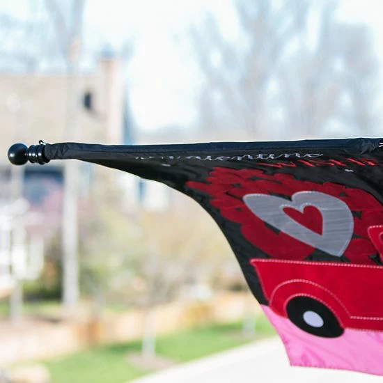 Cheapest 😀 Unbranded Metal Extendable Black Flag Pole 🛒 - Image 3